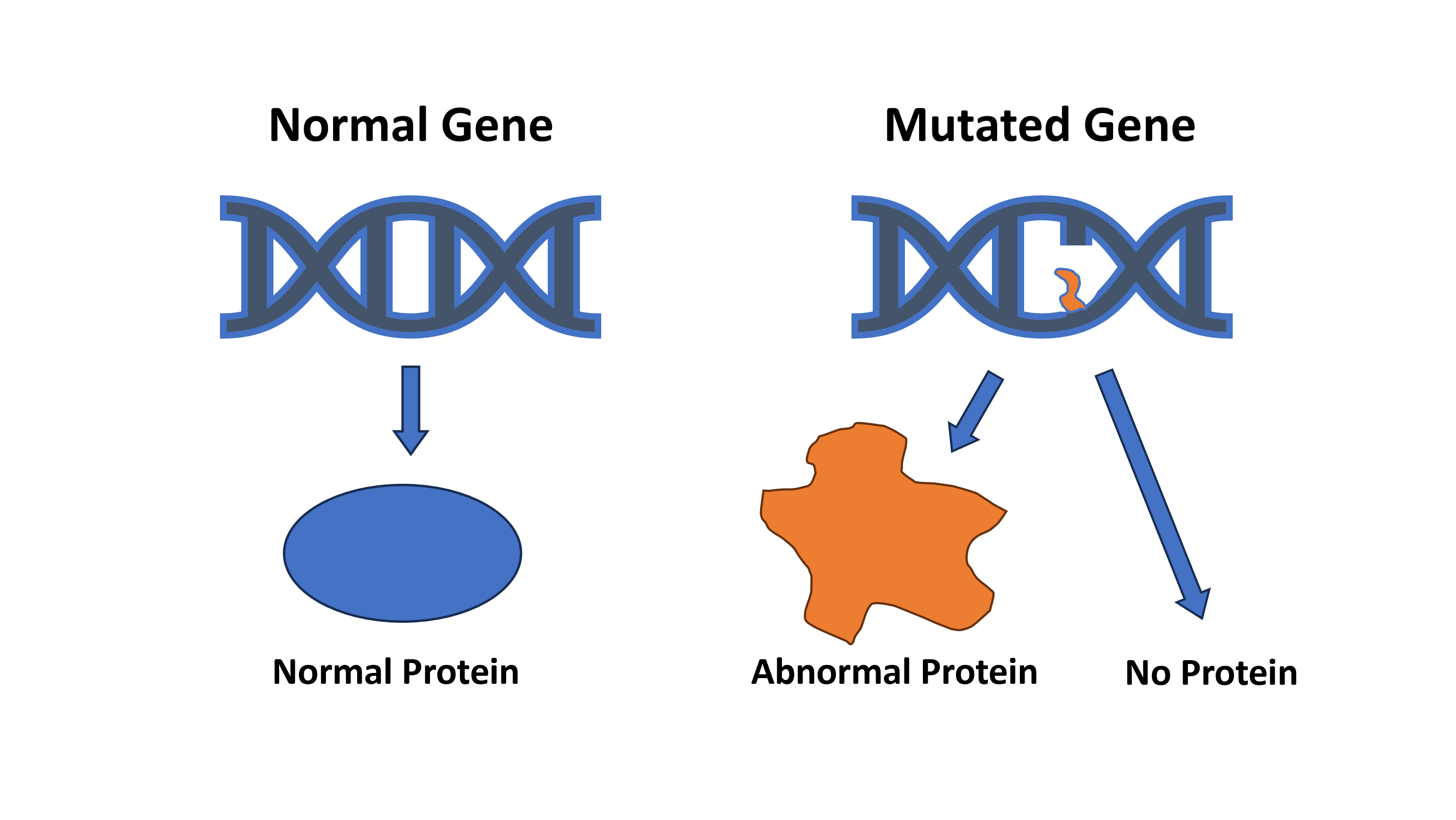 Gene mutation